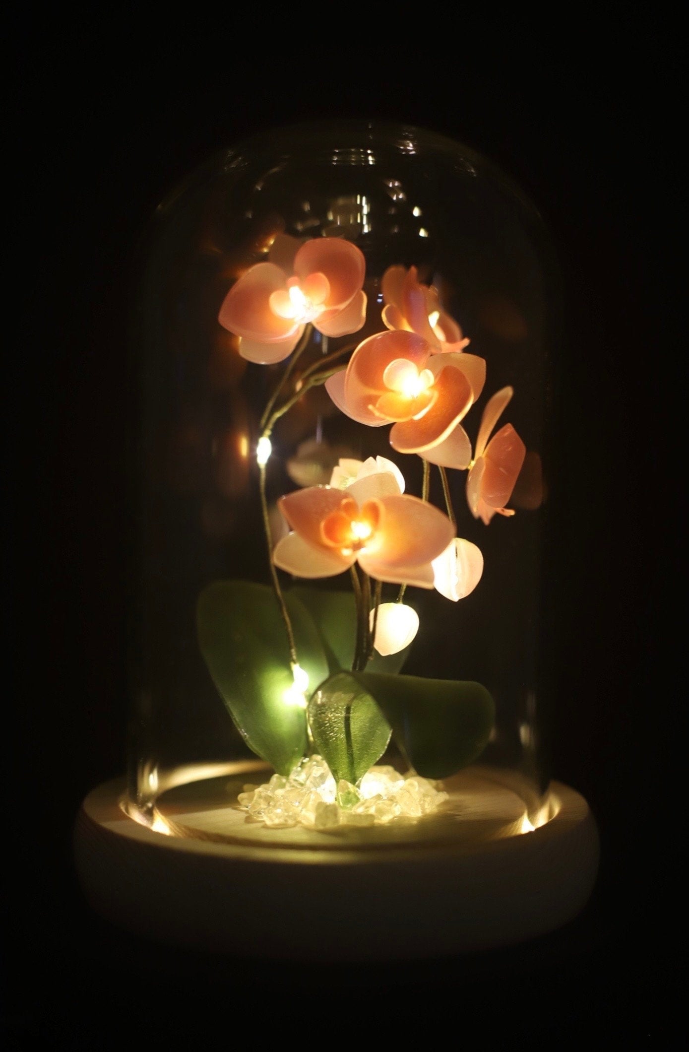 Handmade Moth Orchid Phalaenopsis Flower lamp, Phalaenopsis Home Decor Night Light, Flower Dome Wedding Floral Decoration, Unique Gift