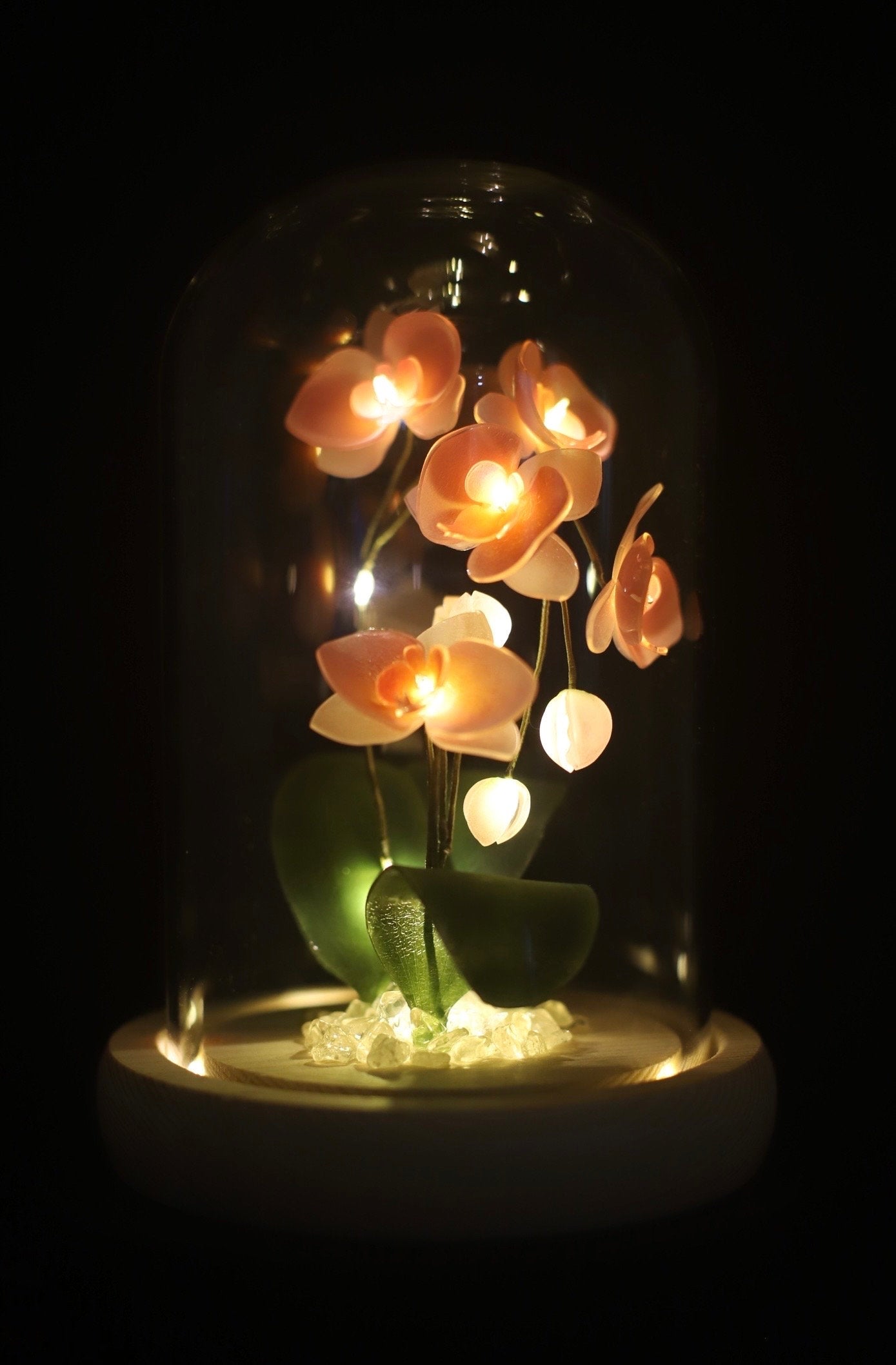 Handmade Moth Orchid Phalaenopsis Flower lamp, Phalaenopsis Home Decor Night Light, Flower Dome Wedding Floral Decoration, Unique Gift