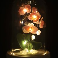 Handmade Moth Orchid Phalaenopsis Flower lamp, Phalaenopsis Home Decor Night Light, Flower Dome Wedding Floral Decoration, Unique Gift