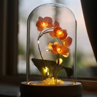 Handmade Moth Orchid Phalaenopsis Flower lamp, Phalaenopsis Home Decor Night Light, Flower Dome Wedding Floral Decoration, Unique Gift