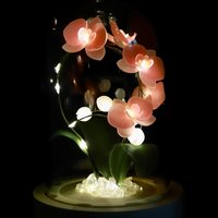 Handmade Moth Orchid Phalaenopsis Flower lamp, Phalaenopsis Home Decor Night Light, Flower Dome Wedding Floral Decoration, Unique Gift