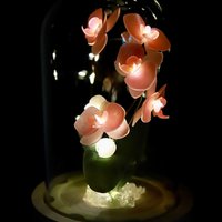 Handmade Moth Orchid Phalaenopsis Flower lamp, Phalaenopsis Home Decor Night Light, Flower Dome Wedding Floral Decoration, Unique Gift