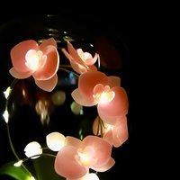 Handmade Moth Orchid Phalaenopsis Flower lamp, Phalaenopsis Home Decor Night Light, Flower Dome Wedding Floral Decoration, Unique Gift