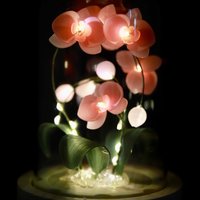 Handmade Moth Orchid Phalaenopsis Flower lamp, Phalaenopsis Home Decor Night Light, Flower Dome Wedding Floral Decoration, Unique Gift