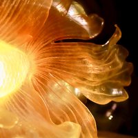 Handmade Mini Betta Fish Aquarium Lamp, Ocean Theme Ambient Mood Light, Sparkling Goldfish Lantern Night Light