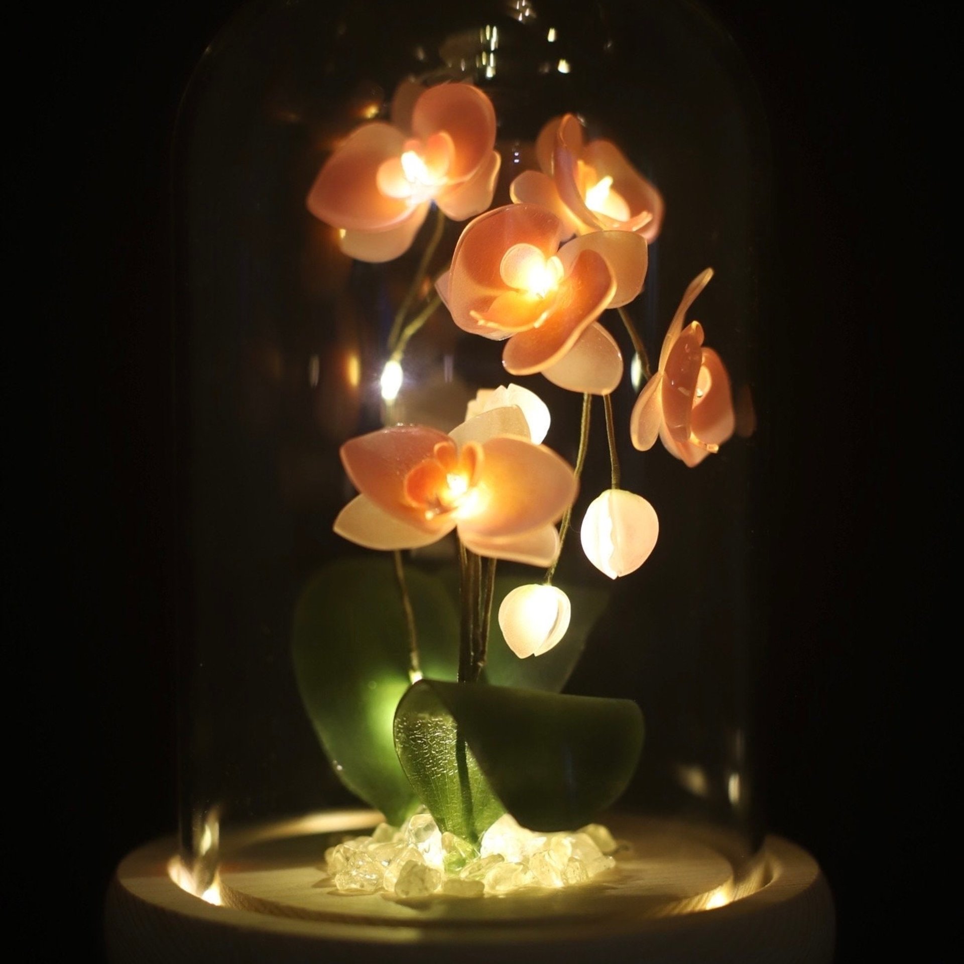 Handmade Moth Orchid Phalaenopsis Flower lamp, Phalaenopsis Home Decor Night Light, Flower Dome Wedding Floral Decoration, Unique Gift