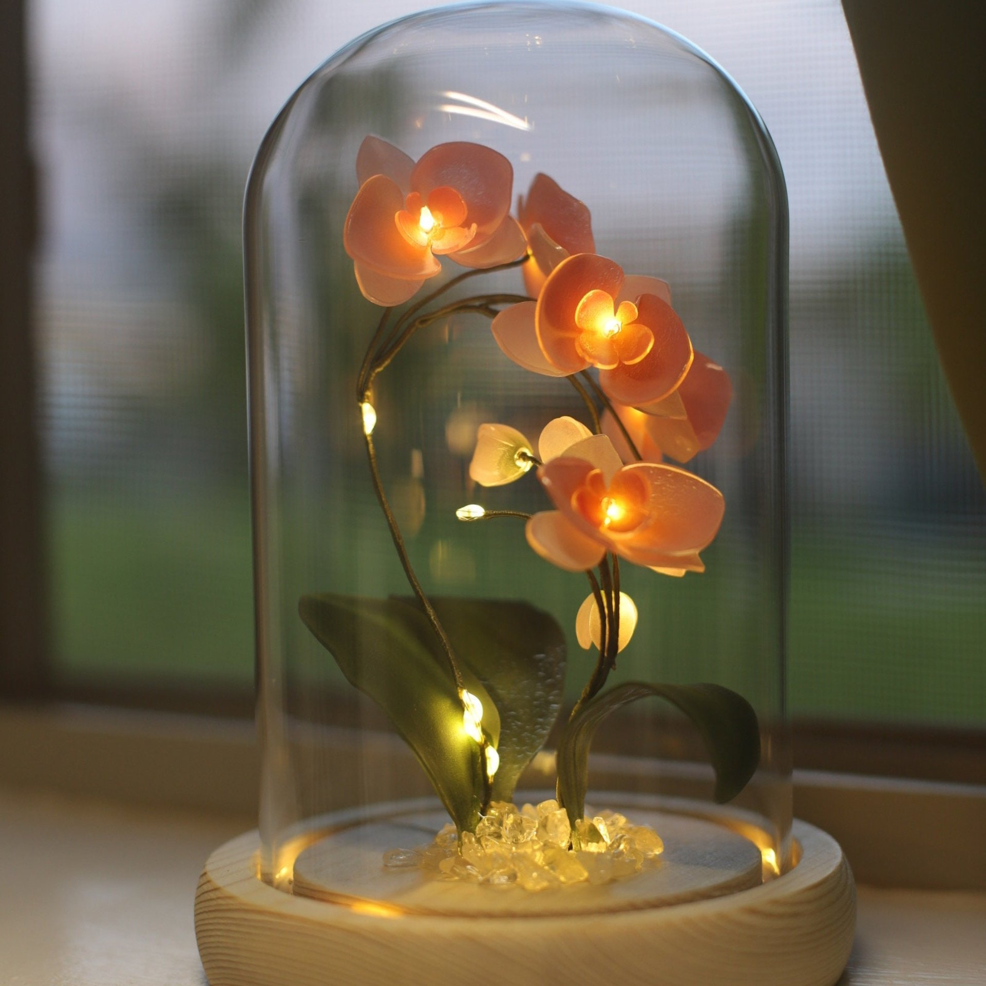 Handmade Moth Orchid Phalaenopsis Flower lamp, Phalaenopsis Home Decor Night Light, Flower Dome Wedding Floral Decoration, Unique Gift