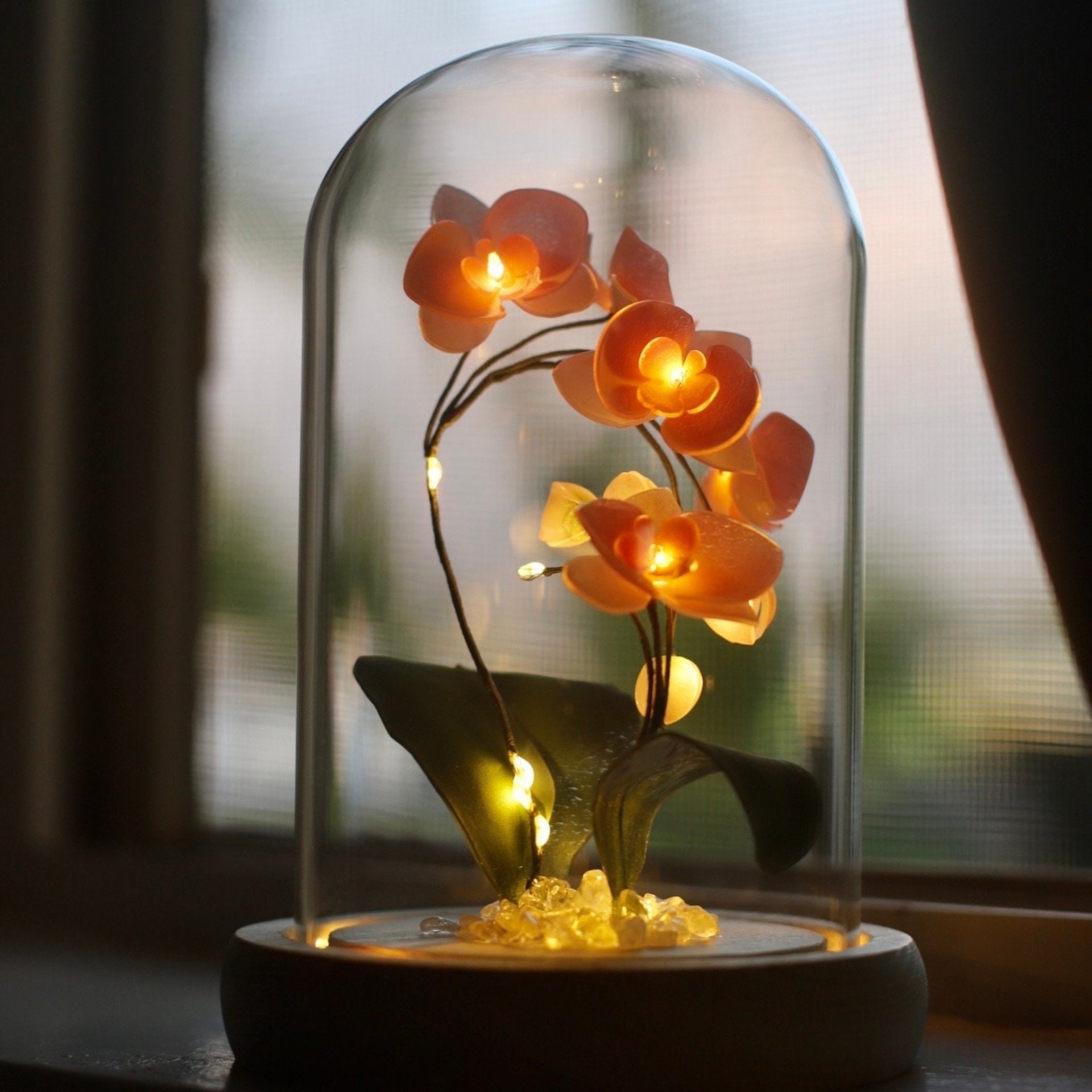 Handmade Moth Orchid Phalaenopsis Flower lamp, Phalaenopsis Home Decor Night Light, Flower Dome Wedding Floral Decoration, Unique Gift