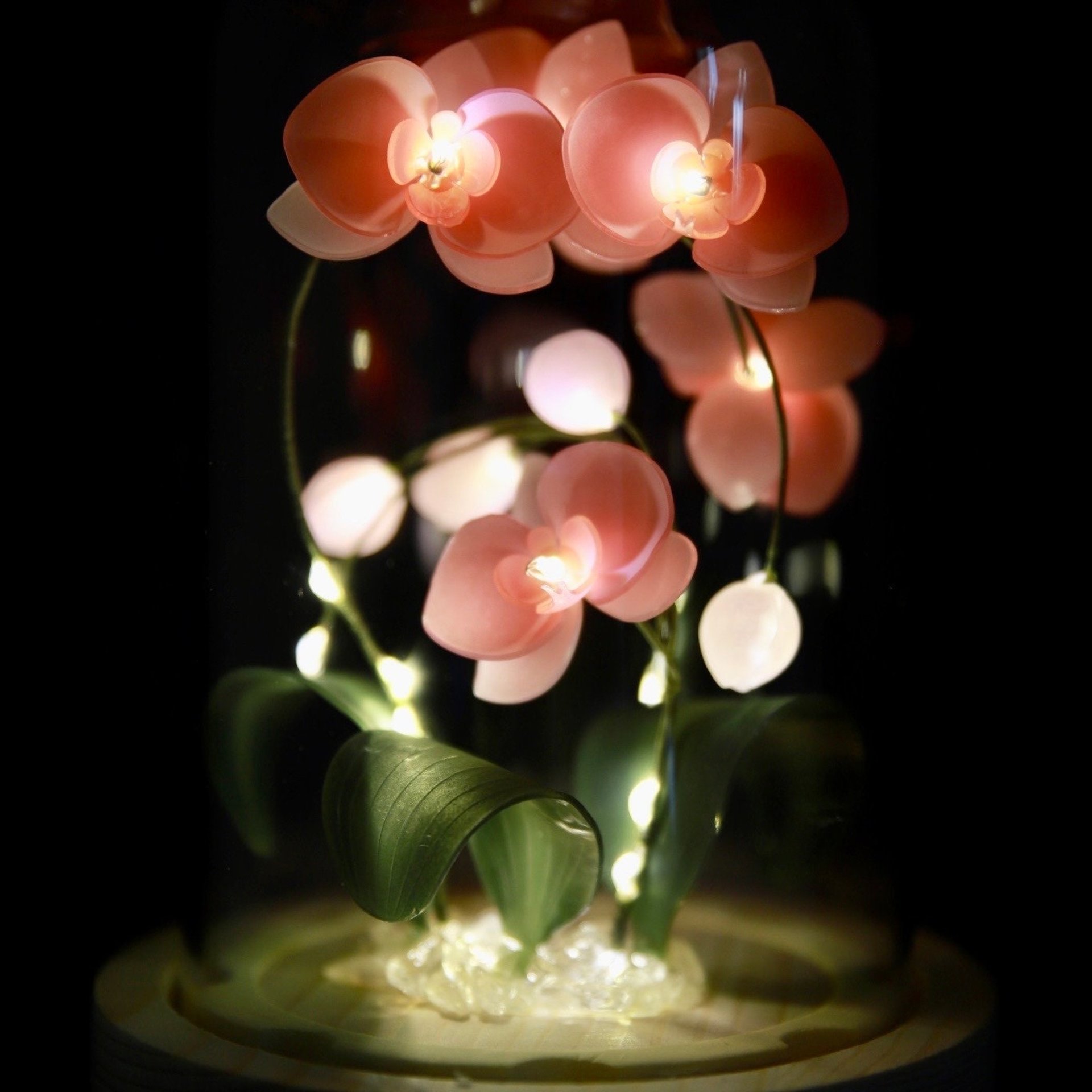 Handmade Moth Orchid Phalaenopsis Flower lamp, Phalaenopsis Home Decor Night Light, Flower Dome Wedding Floral Decoration, Unique Gift