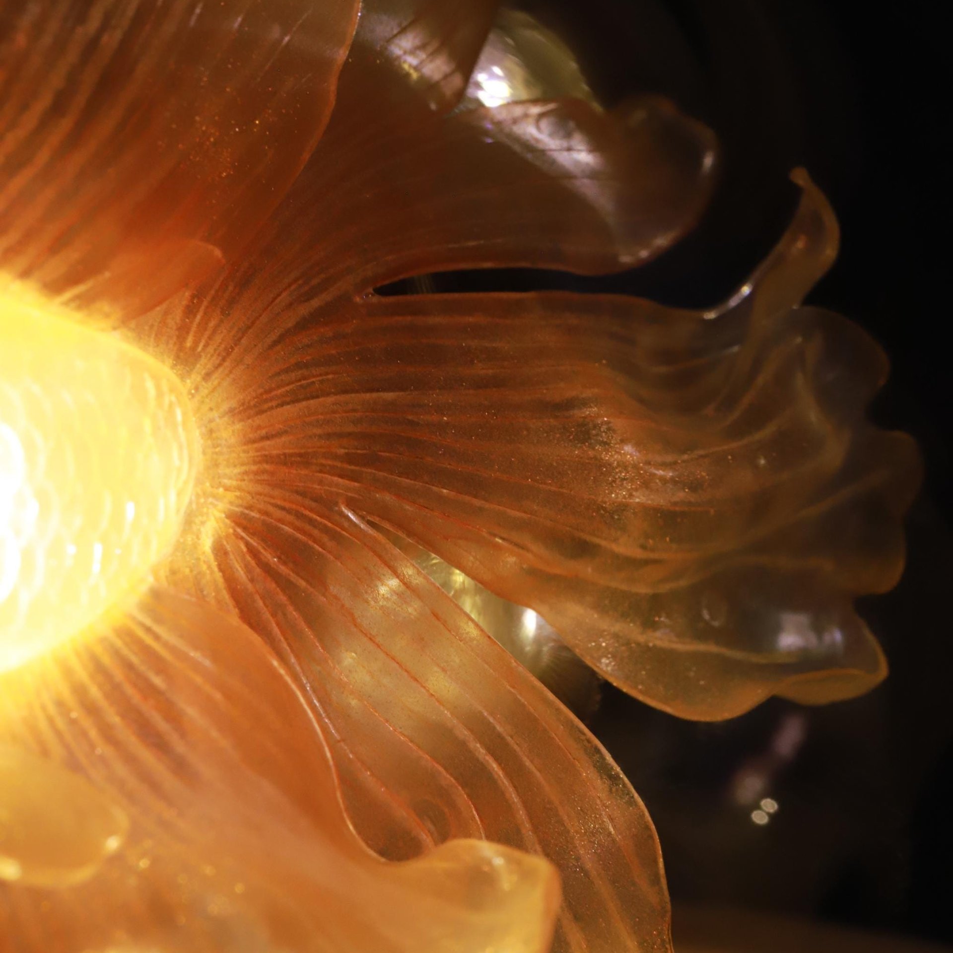 Handmade Mini Betta Fish Aquarium Lamp, Ocean Theme Ambient Mood Light, Sparkling Goldfish Lantern Night Light