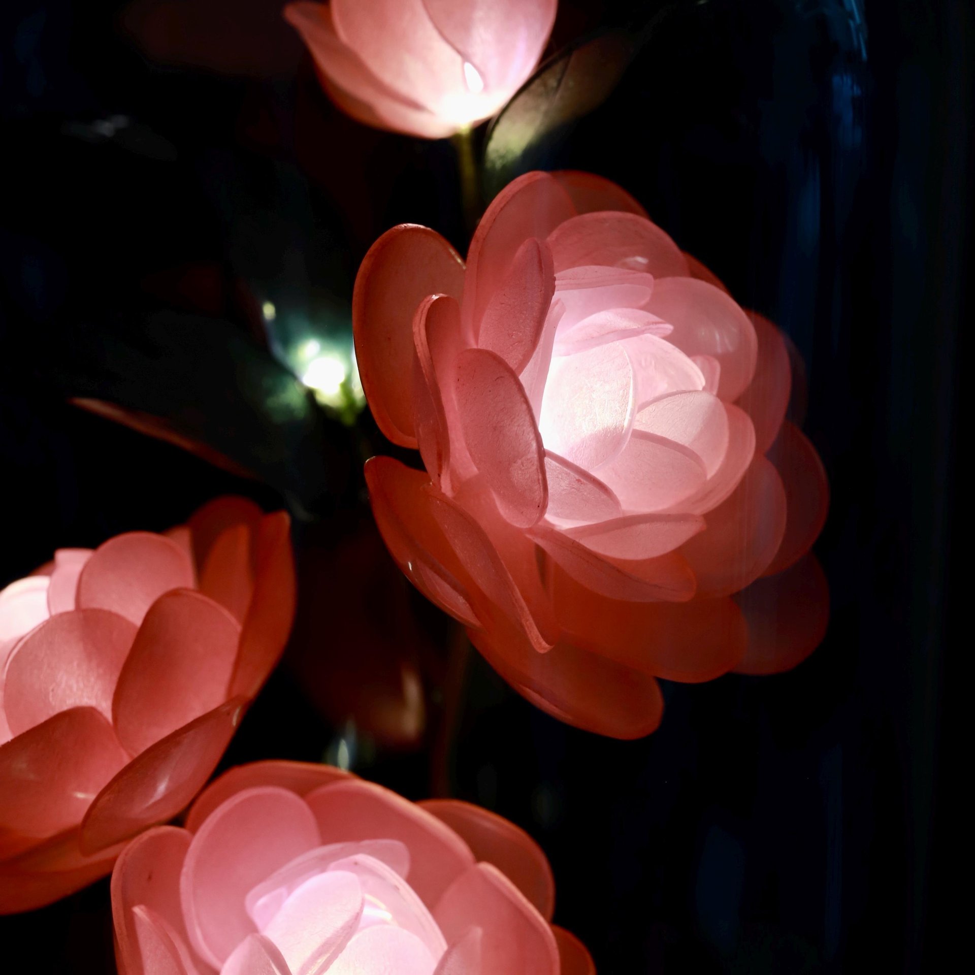 Handmade Elegant Floral Night Light: Eternal Camellia Peony Rose Lamp for Serene Ambiance