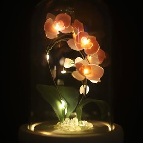 Handmade Moth Orchid Phalaenopsis Flower lamp, Phalaenopsis Home Decor Night Light, Flower Dome Wedding Floral Decoration, Unique Gift
